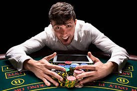 bet 355 bet