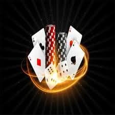 bet 355 bet